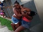 Hood Skanks Fight And Bad Tits Do Fall Out

