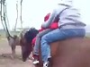 Horse Bucks And Ejects Its Passengers