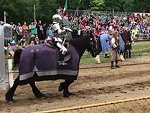 Horse Joust Simulation Becomes A Re Enactment
