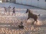 Horse Really Doesn't Want To Be Broken In
