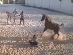 Horse Really Doesn't Want To Be Broken In
