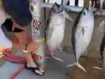 How To Increase The Price Of Your Catch
