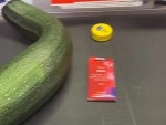 How To Make A Cashier Snort
