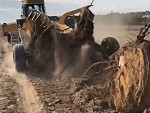 How To Quickly Remove A Lot Of Tree Stumps
