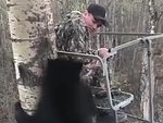 Hunter Encounters A Bear And Doesn't Even Flinch Wow
