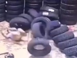 Is Feeling Very Tyred
