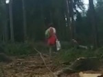 Isn't Always A Good Time To Walk In The Forest
