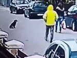 Jerk Tries To Rob A Woman But Dog Thinks Not
