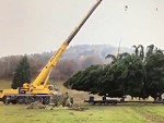 Large Crane Is Felled By Christmas
