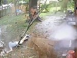 Man Dives For His Life From A Falling Branch
