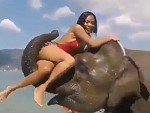 Model On An Elephants Trunk Wait For It
