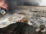 Mother Is A Motherfucking Good Grill Cleaner
