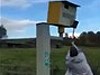 Motorist Takes Revenge On A Fixed Speed Camera