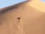 My God Climbing This Sand Dune Looks Like Fun

