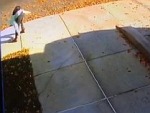 Mystery Shitter Captured On CCTV
