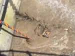 Never Take A Sewerage Plant Job

