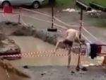 Nice Day For A Dip At The Community Pool
