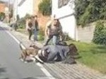 Off Duty Cop Protects His Mum From A Dog
