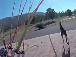 Parachuter Attacked By A Kangaroo
