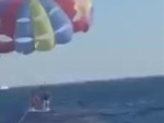 Parasailers Have An Unwanted Shark Encounter
