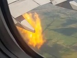 Passenger Nervously Films After A Birdstrike
