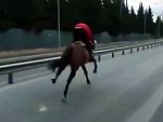 Pays The Price For Riding A Horse On The Open Road
