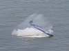 Pilot Is Forced To Land In The Water After Plane Craps Out During An Airshow