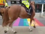 Police Horses Are Homophobic
