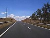 Pretty Normal For Birds To Drop Snakes On Cars When Driving In Australia