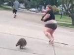 Raccoon Wins This Round
