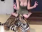Love Those Tigers
