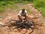 Releases A Shit Load Of Snakes The Scariest Way Possible
