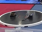 Robots Fighting Sumo Style Are Awesome
