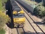 Saves A Dog From Certain Train Death
