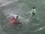 Shark Bites An Idiot Trying To Drag It On Shore
