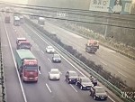 Sheep Get Loose On The Freeway And Cunts Die
