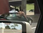 Shit For Brains Falls Out Of A Car On The Freeway
