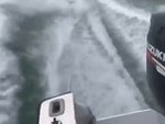 Shithead Fishermen Drag A Shark Behind Their Boat

