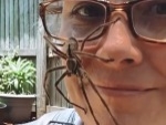 Sick Bitch Lets A Huntsman On Her Face
