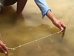 Simple And Clever Fish Trap
