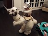 Star Wars Tauntaun Costume Wins Halloween Forever