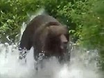 Stay Completely Calm As A Huge Bear Approaches
