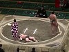 Sumo Gets KTFO In Record Time