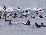 Surfing Stupidity
