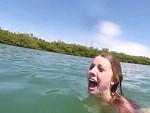 Swimmer Loses Her Mind As A Manatee Comes Way Too Close
