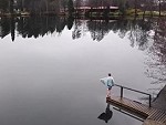 Swimming In Winter In Finland
