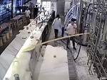 Taihu Brewing Worker Loses An Entire Vat Of Beer
