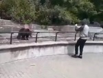 Takes A Drunk Russian To Go In A Bear Enclosure
