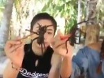 Tarantulas Are Delicious
