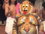 That's One Fucking Scary Tiger
